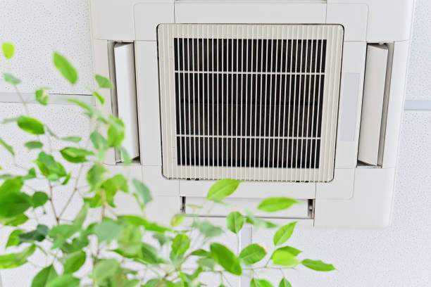 HVAC Maintenance and Cleaning in Greenbriar, FL